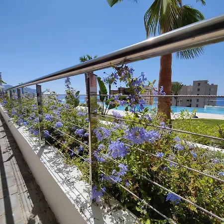 Sunset Cliffs Sea View *